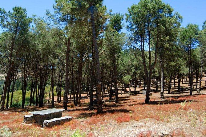 Panorama VIP Tour in Gran Canaria - The north becomes greener at Los Tilos de Moya