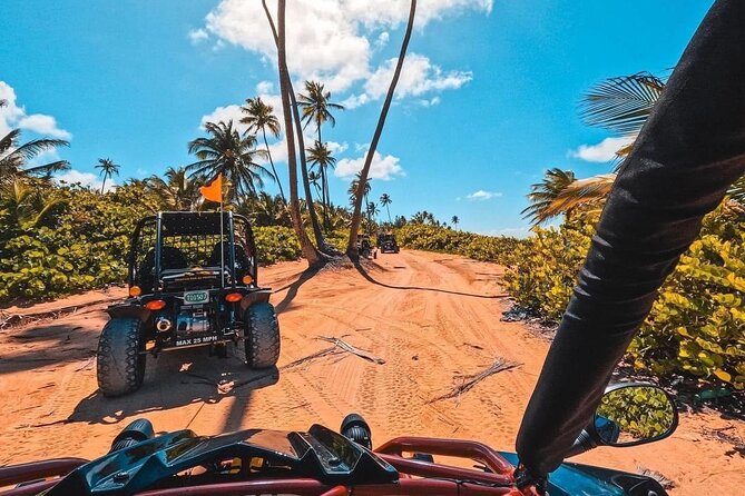 Piñones Beach Buggy + El Yunque Waterfall Adventure - A six-hour combination of coast and rainforest