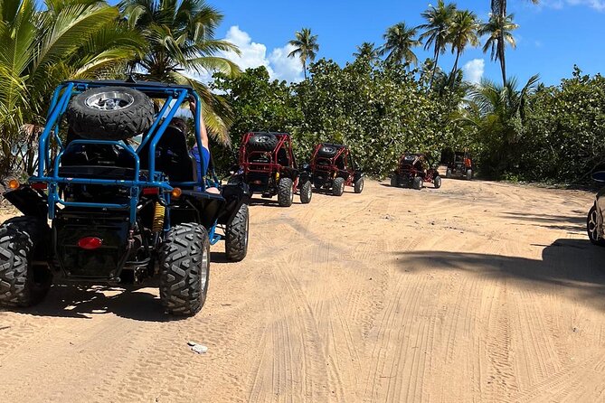 Piñones Beach Buggy + El Yunque Waterfall Adventure - Who will get the most from this tour
