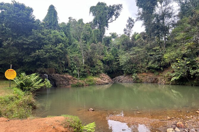 Pork Highway & Cayey Cultural & Gastronomical Experience - Starting from Isla Verde at 9 a.m.