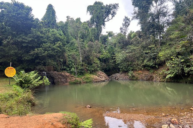 Pork Highway & Cayey Cultural & Gastronomical Experience - A practical word about cancellations