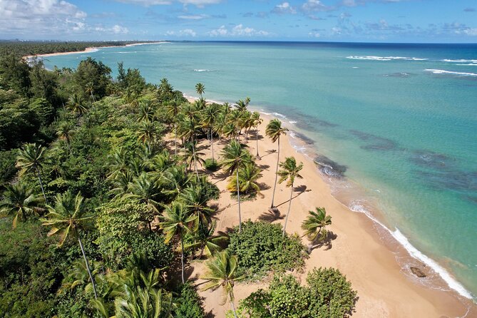 PR Chinchorreo-Beach and Bar Hopping Tour - Key things to know before booking