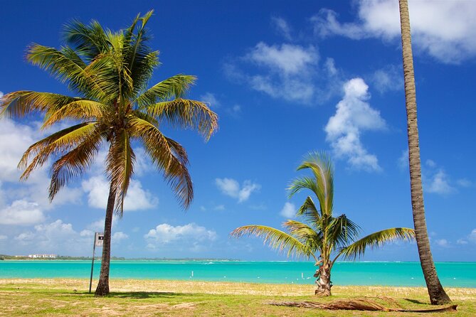 PR Chinchorreo-Beach and Bar Hopping Tour - Who will enjoy this Puerto Rico day trip