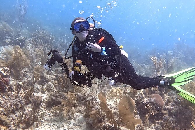 Private 2-Tank Dive with PADI Instructor for Certified Divers - Key points at a glance