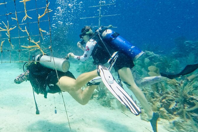 Private 2-Tank Dive with PADI Instructor for Certified Divers - Ruthie, Scotty, and the private guiding style
