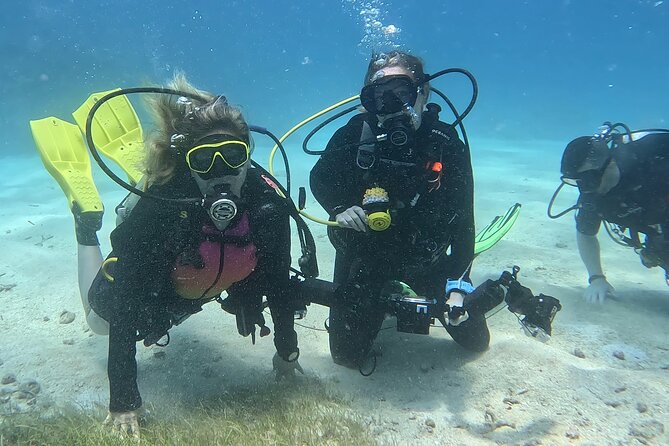 Private 2-Tank Dive with PADI Instructor for Certified Divers - Understanding the $1,300 group price
