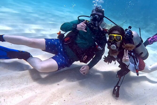Private 2-Tank Dive with PADI Instructor for Certified Divers - Who should book this Fajardo outing