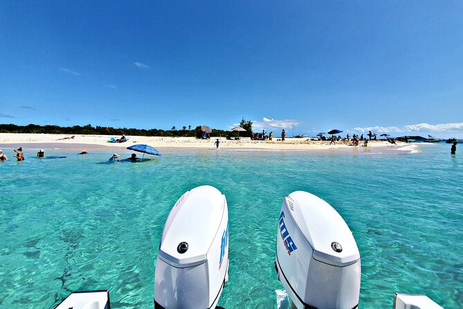 Private All-Inclusive 22ft Boat Guided Snorkeling Icacos Palomino - What makes this boat day special