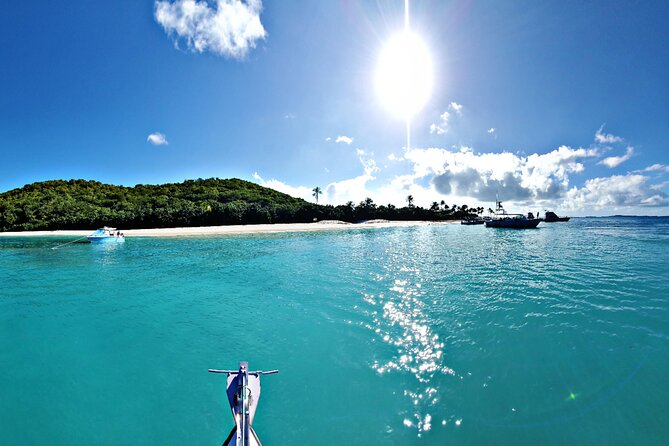 Private All-Inclusive 22ft Boat Guided Snorkeling Icacos Palomino - What comes with the $550 price