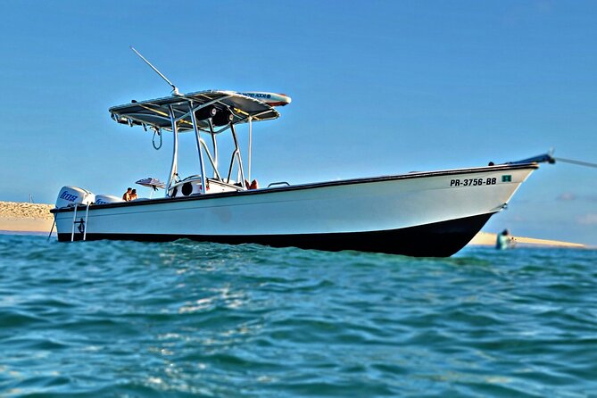 Private All-Inclusive 22ft Boat Guided Snorkeling Icacos Palomino - Weather, timing, and practical limits