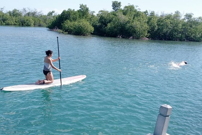 Private Day Sail - South Coast of Puerto Rico - Snorkeling: useful equipment, uncertain payoff