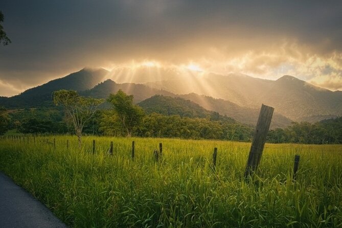 Private El Yunque Half-Day Tour with Transport - Booking, cancellations, and the final decision