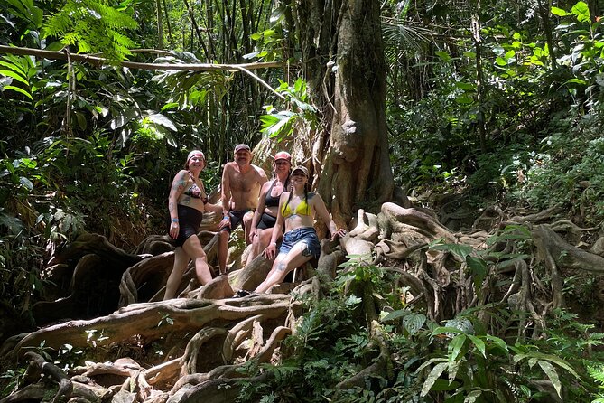 Private El Yunque Rainforest Day Tour with Transport - The three-hour El Yunque route