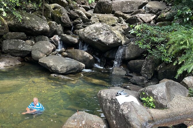 Private El Yunque Tour To Hidden Waterfall Remote Area - What makes the private format worthwhile