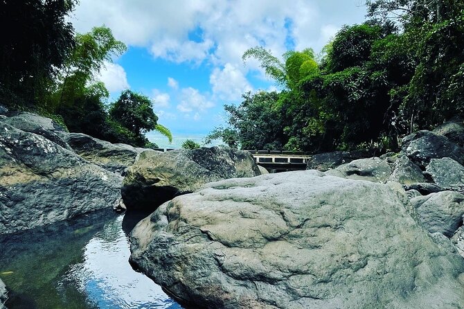 Private El Yunque Tour To Hidden Waterfall Remote Area - Meeting in San Juan and reaching the forest
