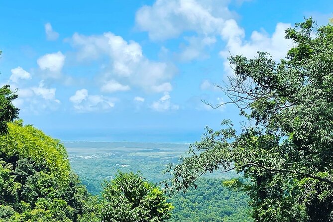 Private El Yunque Tour To Hidden Waterfall Remote Area - A guide who adds context, not just directions