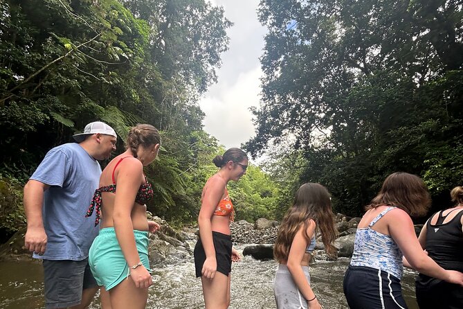 Private El Yunque Tour to Waterslide and Waterfalls - From Fajardo to El Yunque in about 16 minutes