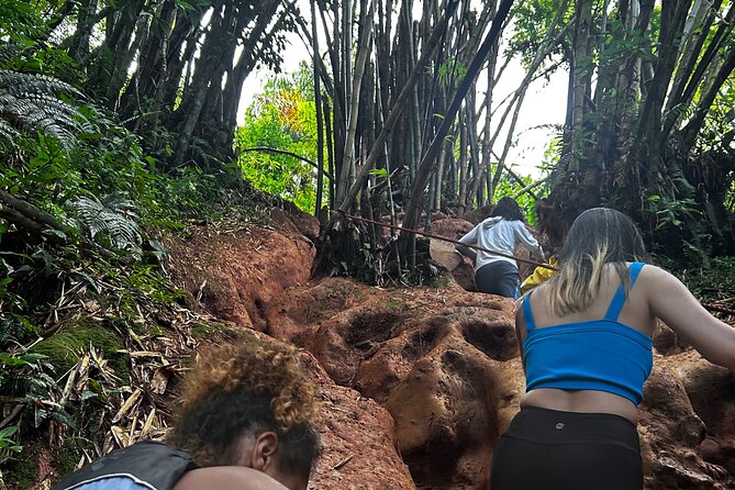 Private El Yunque Tour to Waterslide and Waterfalls - Is $55 a fair price?