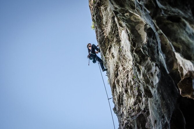 Private Guided Rock Climbing Trips in Puerto Rico - Key points at a glance