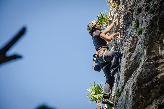 Private Guided Rock Climbing Trips in Puerto Rico - Who will get the most from this experience