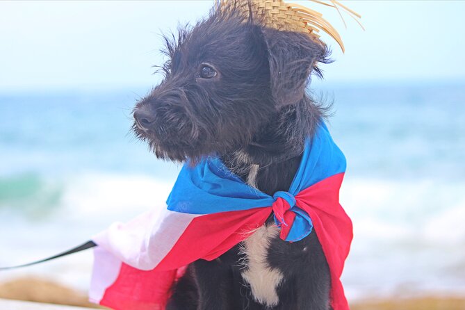 Private Old San Juan Photography - Who gets the best value at $150 per person