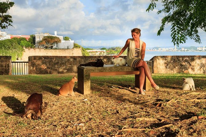 Private Old San Juan Walking Tour - Plaza de Recreo Las Piedras and the harbor view