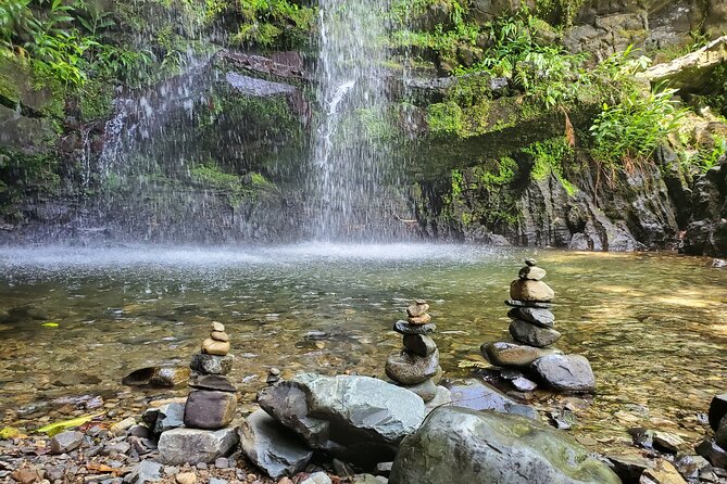 Private Rainforest Waterfalls and Beach Hiking Tour from San Juan - Why the private format matters