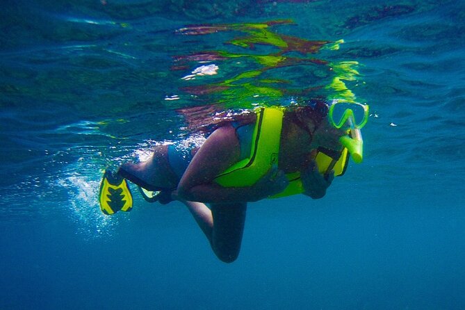 Private Rincon Snorkeling Adventure - What the three-hour Rincon outing is really like