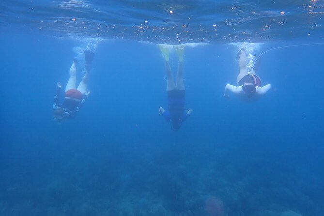 Private Rincon Snorkeling Adventure - Why the private price can make sense