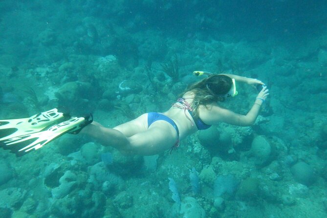 Private Rincon Snorkeling Adventure - Practical planning for your morning