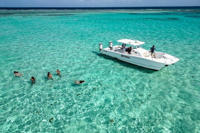 Private Snorkel and Cruise Experience in Ceiba - A private half-day on Puerto Rico’s eastern coast