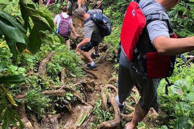 Private Tour of El Yunque Rainforest from San Juan - Why this private El Yunque tour feels different