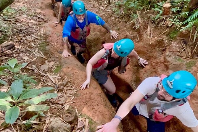 Private Tour of El Yunque Rainforest from San Juan - What the seven-hour schedule means