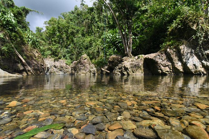 Private Tour of El Yunque Rainforest from San Juan - Packing for a wet, active day