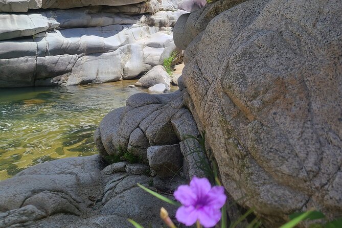 Private Tour of the White Canyon Ancestral Route in Utuado - What the private format changes