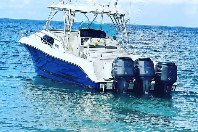 Private Tour to Cayo Icacos and Palomino Island - Food, drinks, and the shape of the day