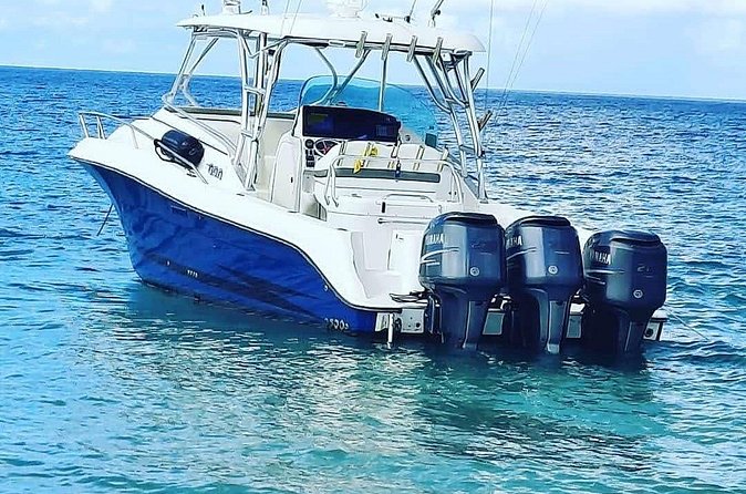 Private Tour to Cayo Icacos and Palomino Island - The captains and the service factor