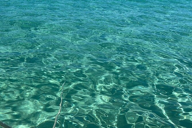 Private Tour to Cayo Icacos and Palomino Island - Price, group size, and value