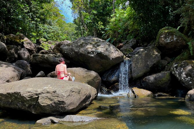 Private Tour to the East Side of Puerto Rico - Luquillo’s kiosks and the cost of lunch