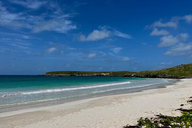 Private Tour to the East Side of Puerto Rico - The reliability warning is not minor
