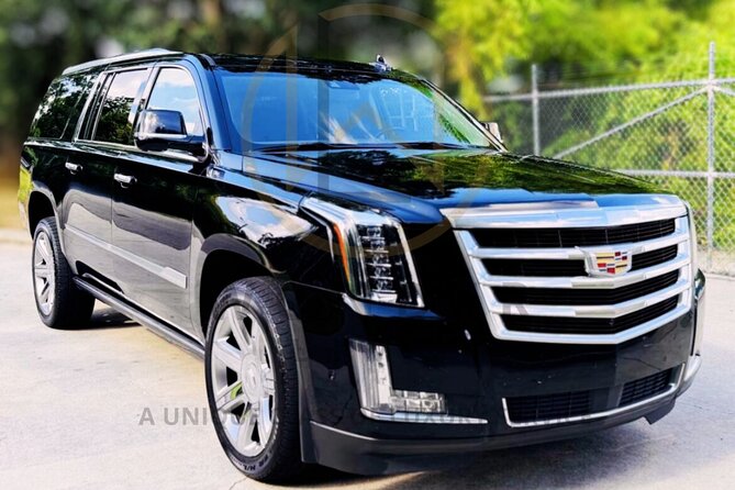 Private Transfer – SJU Airport to Hotels, Cruise Port or Airbnb - Cruise-port transfers and the problem of terminal crowds