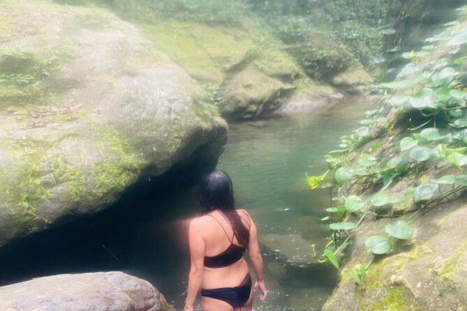 Private Wellness Tour of Puerto Rico Waterfalls and Hot Springs - Who gets the best value at $328