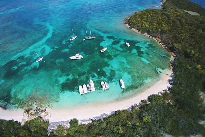Public or Private Boat Trip to Icacos & Palomino - Key points to know before booking
