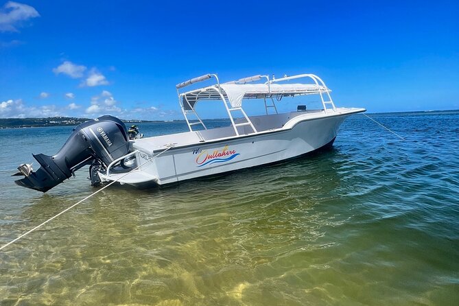 Public or Private Boat Trip to Icacos & Palomino - What the four hours are likely to include