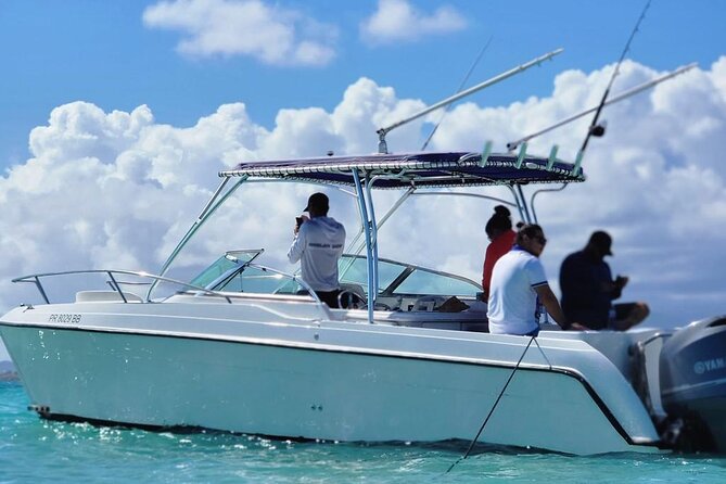 Public or Private Boat Trip to Icacos & Palomino - How the crew shapes the experience