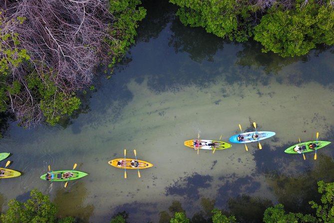 Puerto Rico Bio Bay Kayak Adventure Tour - The paddle back through dark water