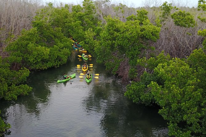 Puerto Rico Bio Bay Kayak Adventure Tour - Paddling from Las Croabas into the mangroves