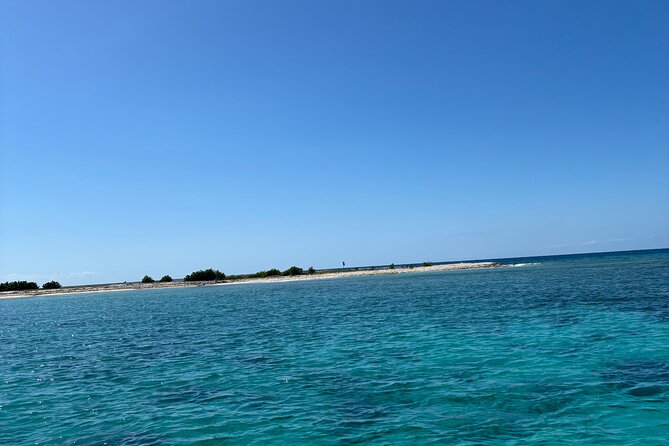 Puerto Rico: Bio Bay Swim and Sunset Charter or Late night tour - Key points at a glance