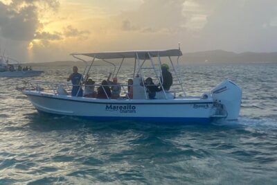 Bio Bay Swim and Sunset Charter or Late night tour