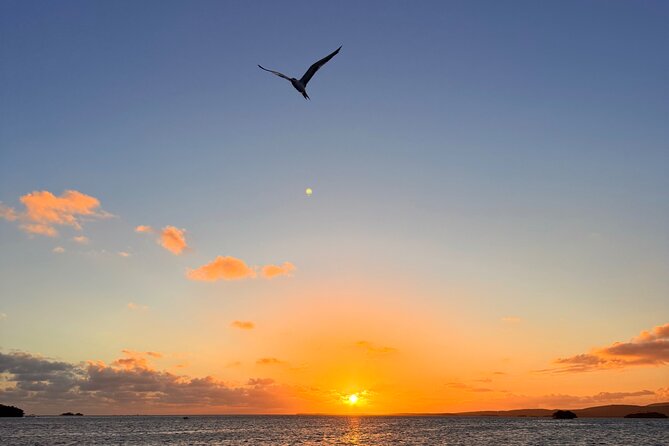 Puerto Rico: Bio Bay Swim and Sunset Charter or Late night tour - Booking, weather, and cancellation details